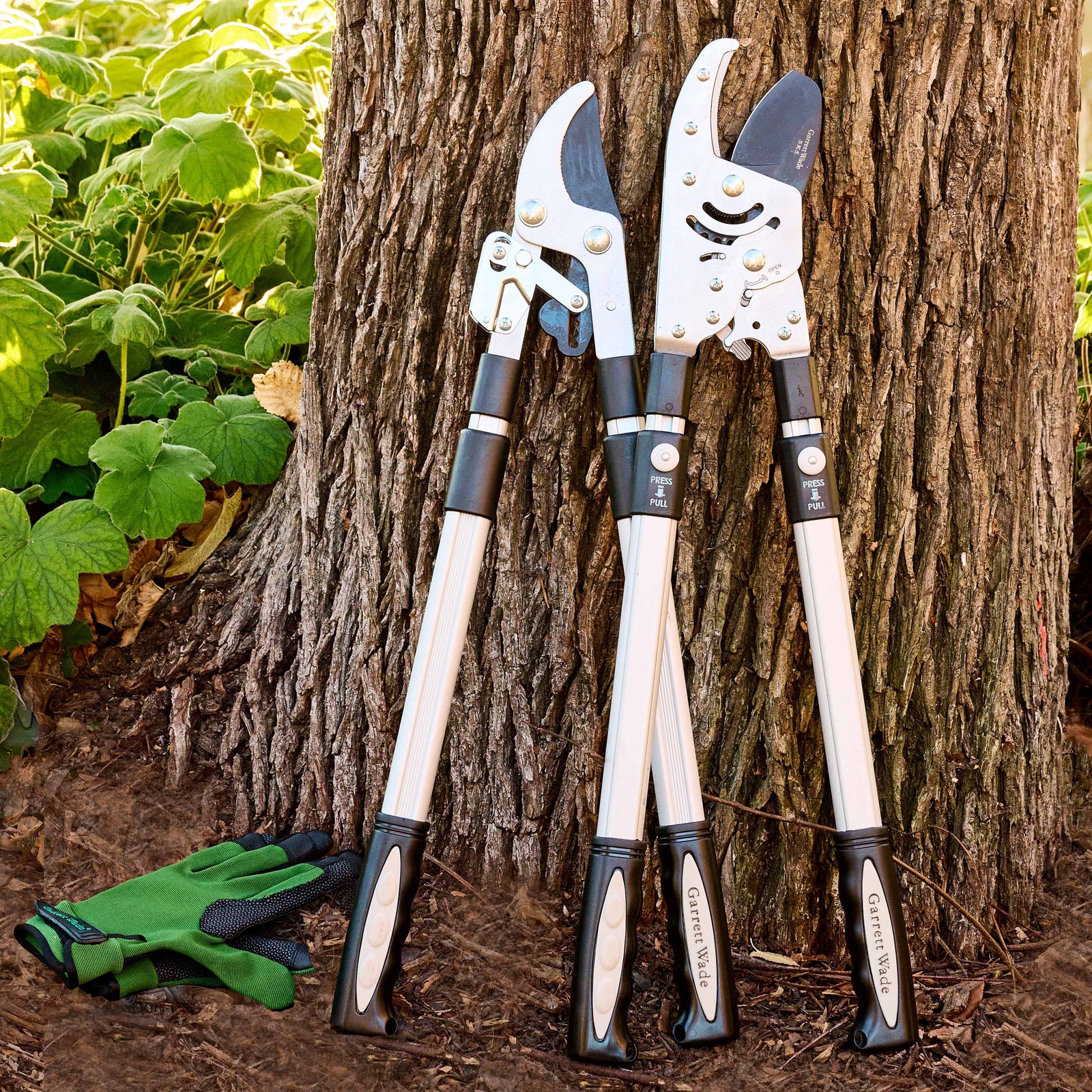 A Garrett Wade bypass lopper and anvil lopper leaning against a tree.